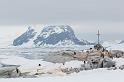 109 Antarctica, Petermann Island